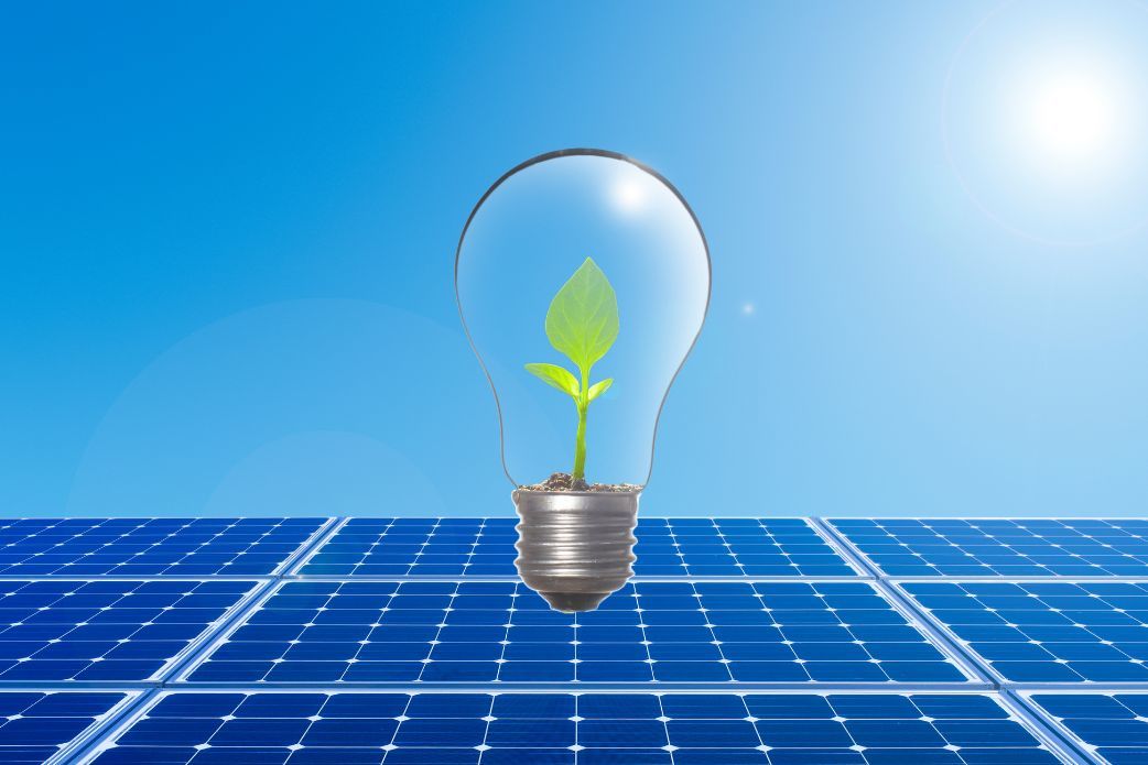 Solar panels & energy-efficient bulb - Green energy solutions